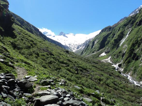 Habachtal - Talschluß mit Gletscher und Schwarzkopf 