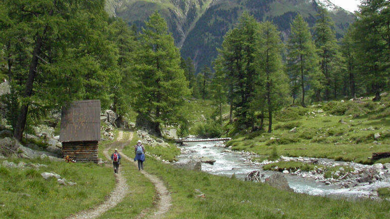 Der Patscher Bach begleitet uns