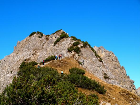 Hahnkampl Spitze 2080m von Süden