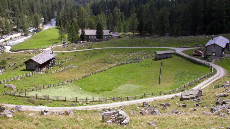 Bald sind wir wieder unten; eine Schlusseinkehr im Alpengasthof Patscher Alm ist sehr empfehlenswert