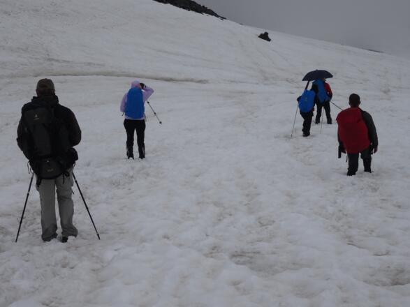 Schneefelder auf den nicht mehr vorhandenen Zischgenferner.
