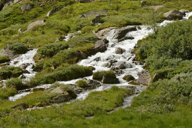 Wiildbach an der Plangeroßalm