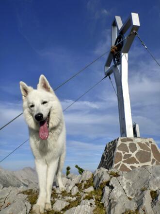 Lanouk am Gipfel der Rumer Spitze