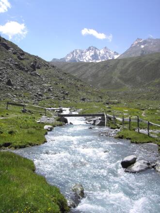 Gleirschbach mit Brücke. Aufstieg Pforzheimer Hütte.