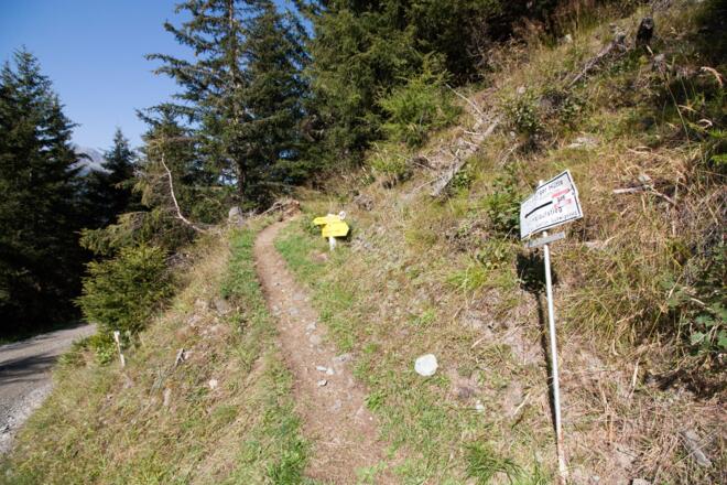 Vom Fortstweg in den Waldweg