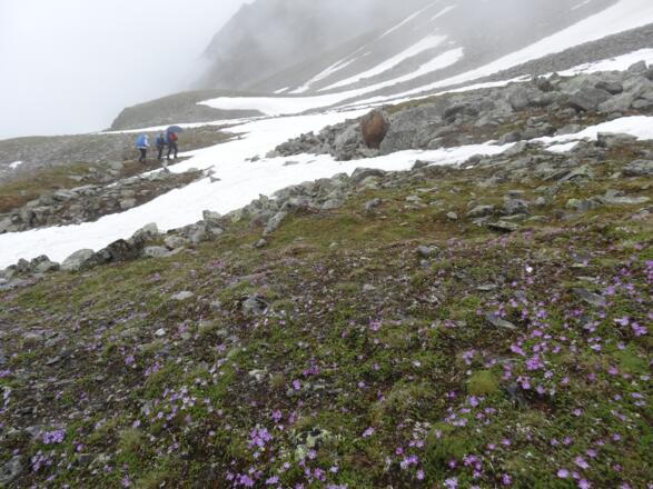 Im hintere Gleirschtal angekommen.