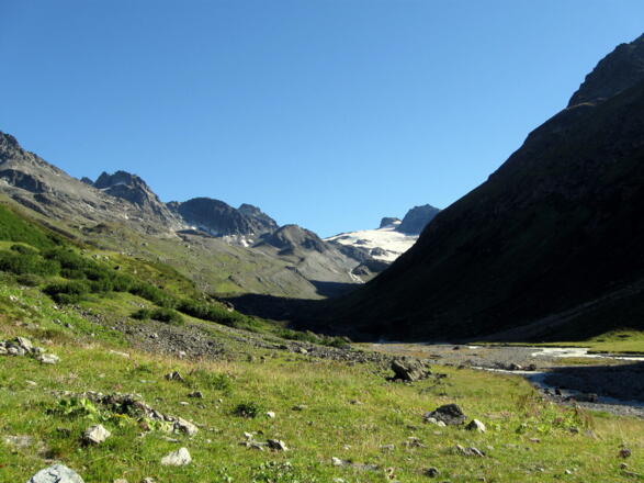 Kurz nach der Scheibenalm kann man den ersten Blick auf die Gletscher der Jamtalhütte genießen.
