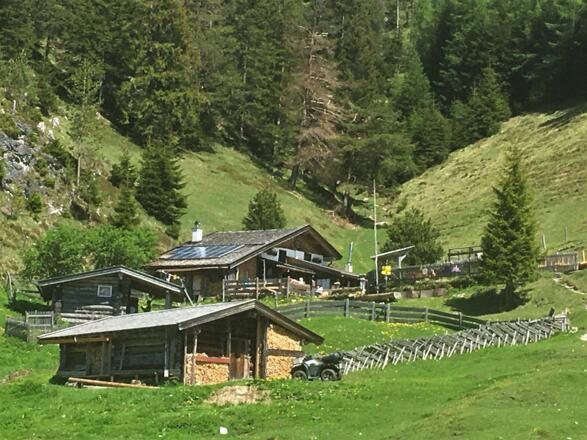 Steinalm