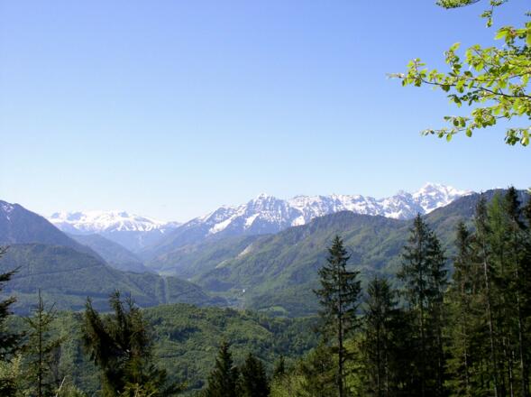 Hirschwaldstein 1095m mit Prielkamm