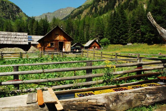 Hüttendorf mit Hansalhütte