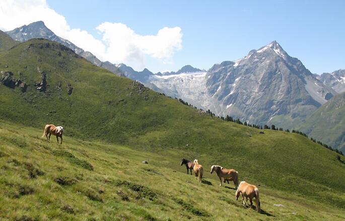 Der Lüsener Fernerkogel