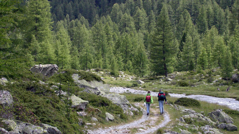 Und weiter geht es bergab