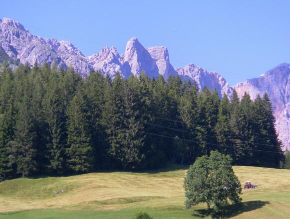 Wildalmkirchl von Hinterthal