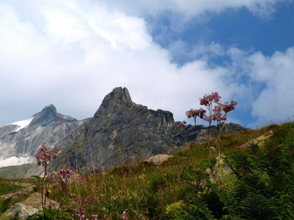 Gipfelziel von ca. 2100m gesehen