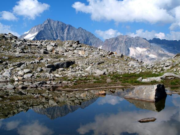 Gletscherlacke ~2495m mit Löffler