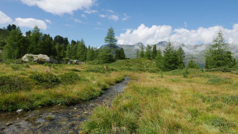 Abfluss des Bergli Sees