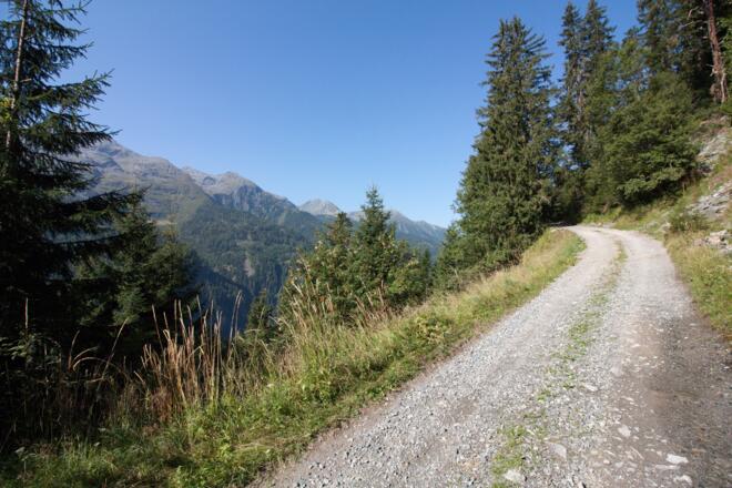 Forstweg, alternativer Aufstieg