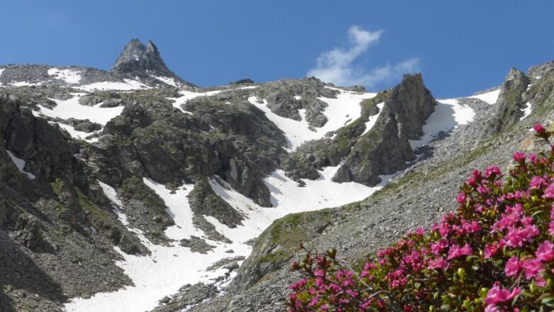 Aufstieg im Frühsommer
