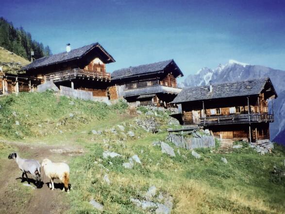Auf dem Lasörling Höhenweg (Arnitzalm)