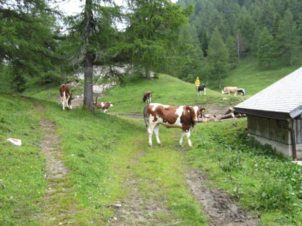 nach dem Almgebäude links
