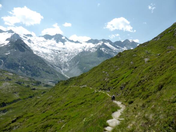 Auf gepflastertem Weg bergab