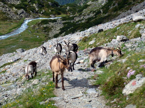 Der Aufstieg durchs Winnebachtal wird garantiert keinem Kind langweilig.