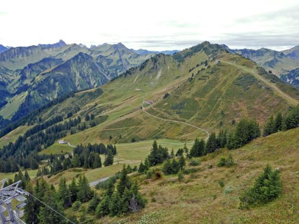 Blick zu den Ochsenhofer Köpfen