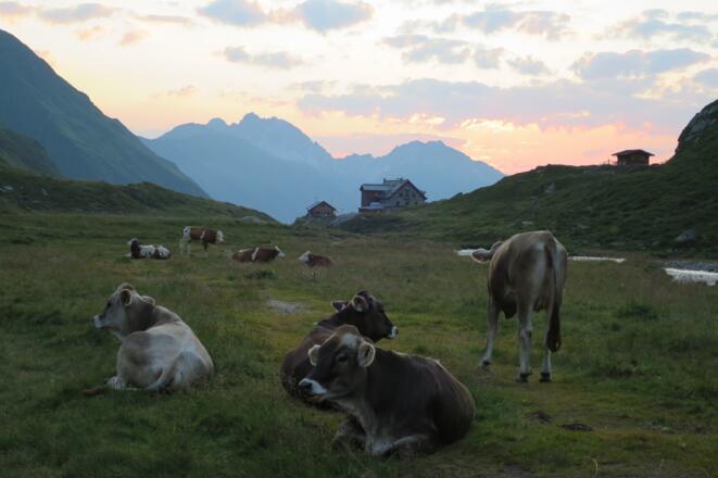 Sonnenaufgang auf der Franz Senn Hütte.