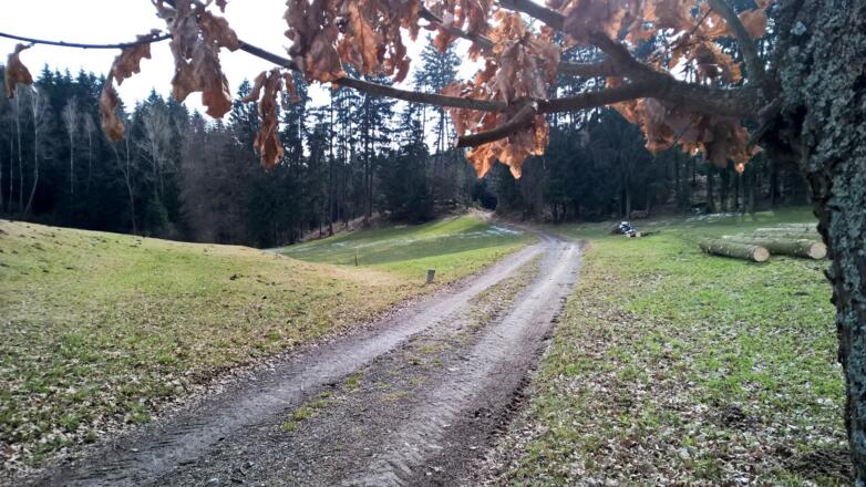 Weg zurück Richtung Freistadt