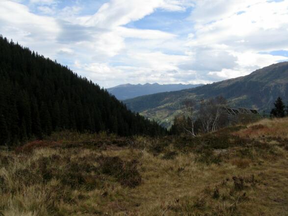 Am Loassattel, Blickrichtung Zillertal.