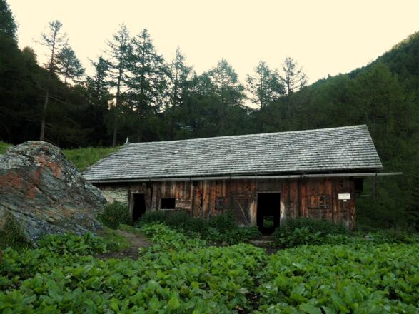 Stall auf 1772m, am Morgen.