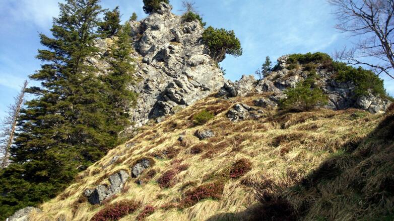 Am Südgrat um 1430m