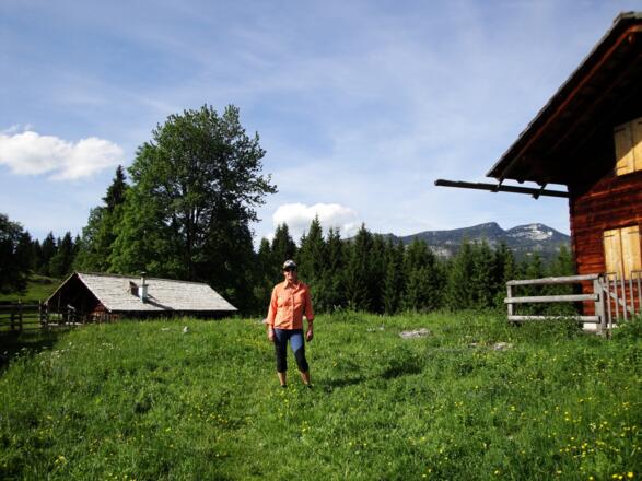 Beim Abstieg auf der Gschwendtalm