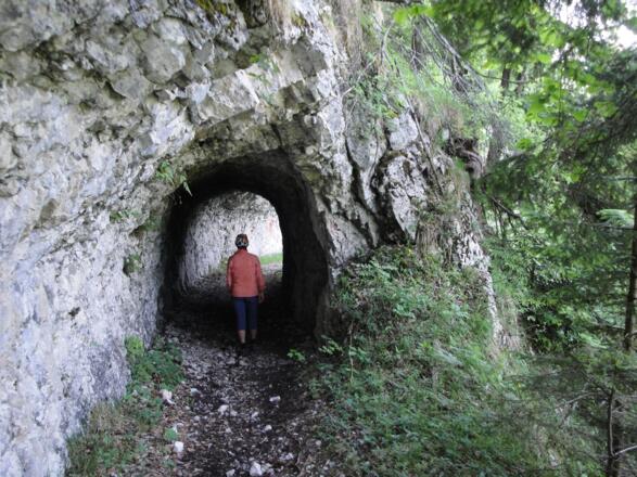 Auch durch den Berg führt der Forstweg &quot;Rettenbachleiten&quot;