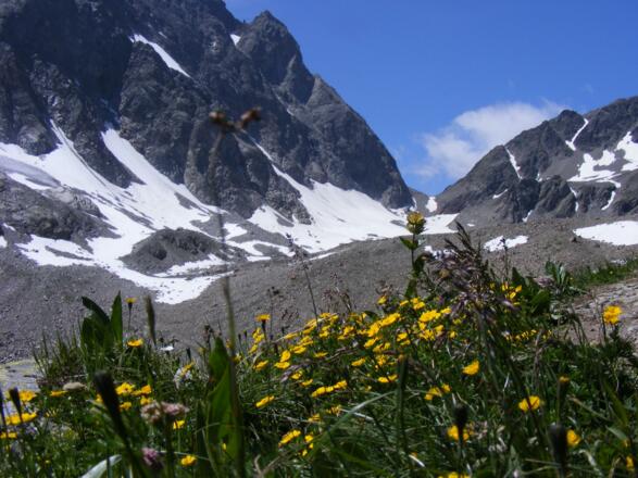 Blick zum Kuchenjoch