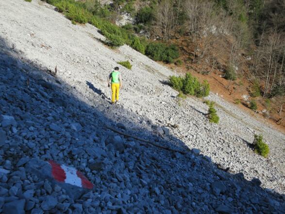 Wir queren den Schotterreise des &quot;Linken Lehner&quot;, ein mächtiger Graben, der bis hinauf zum Grat zwischen Solstein und Hohe Warte führt.
