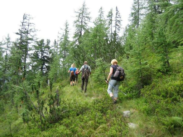 Im &quot;Weingarten&quot; - unberührte Natur