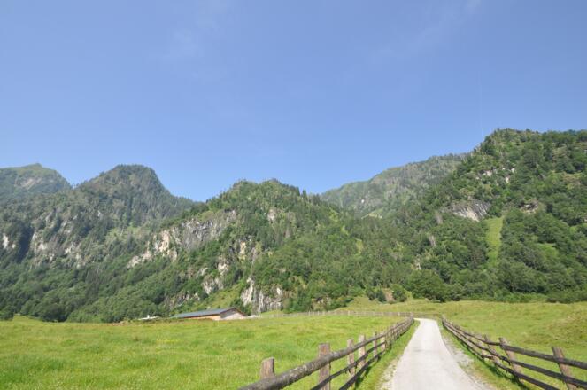 Jetzt gehts gemütlich bergauf - durch lichten Hochwald hinauf zur Ederalm