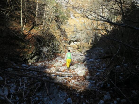 ... wird es weiter ... 