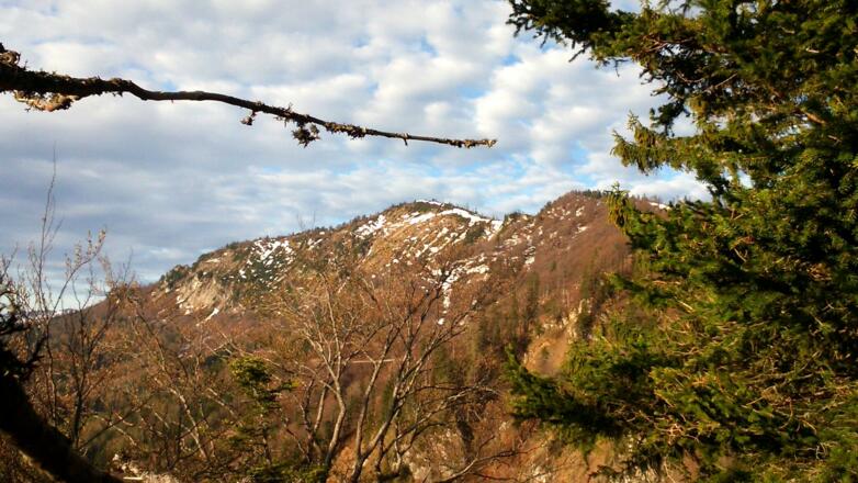 Bodenwies 1540m vom Dreispitz