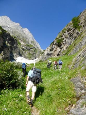 Noch geht es durch die Vegetation