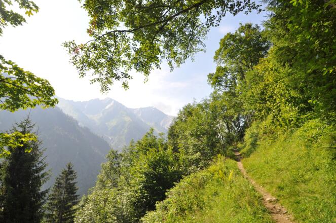 Die Tour beginnt gemütlich - so kann man sich erst mla schön eingehen