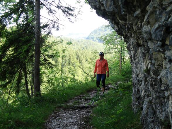 Am Forstweg &quot;Rettenbachleiten&quot;