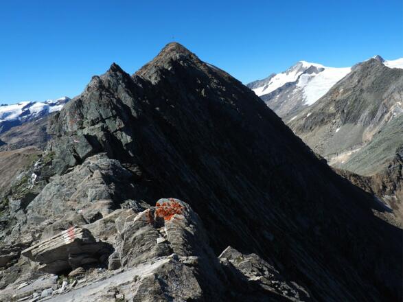 Gratkamm, Hint. Sajatkopf 3.098m zum Kreuzspitz mit Venediger