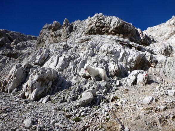 felsige Passage beim Anstieg zur Kaskarspitze