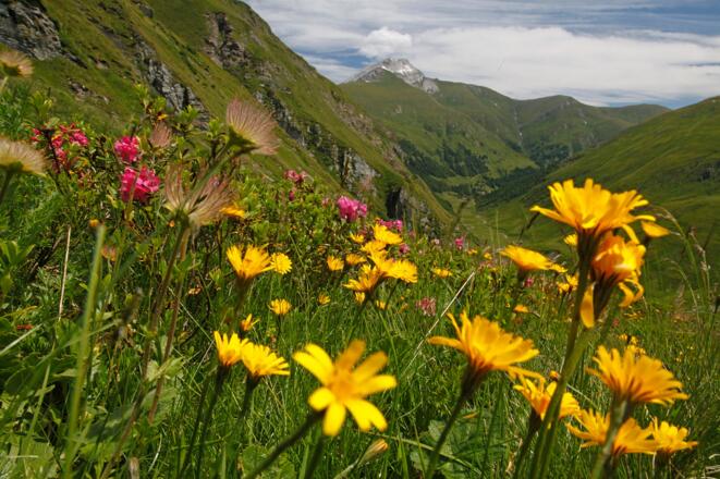 Abstieg vom Murtörl ins oberste Murtal; hinten das Weißeck