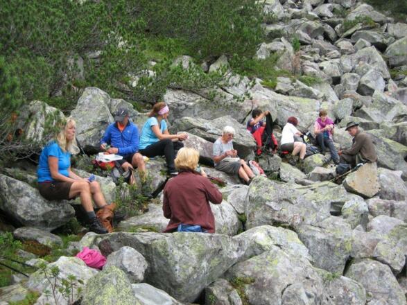 Im &quot;Weingarten&quot; oder Steingarten?