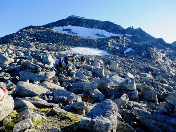 Auf ca. 2900 m verlassen wir den markierten Normalweg zum Keeskogel nach rechts. Der Südgrat, mit dem markanten Felsturm ist bereits zur Gänze sichtbar.