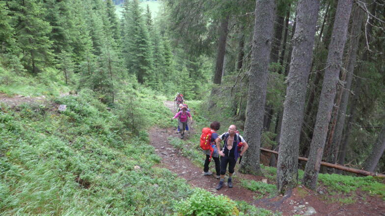 Wegpassage zur Lappachalm