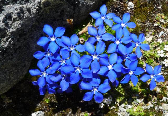 Ruhepunkt für die Augen